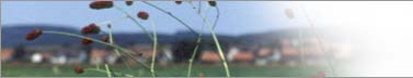 ortsbild