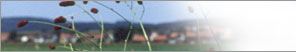 ortsbild